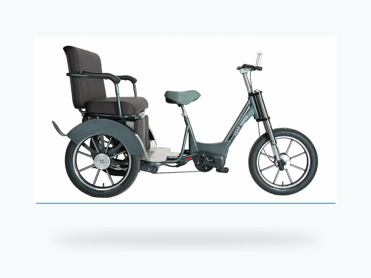 Electric Leisure Tricycle